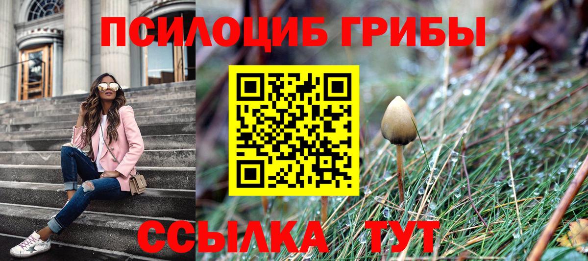 Псилоцибиновые грибы прущие грибы Ликино-Дулёво